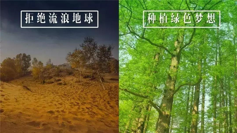 拒絕流浪地球，種植綠色希望